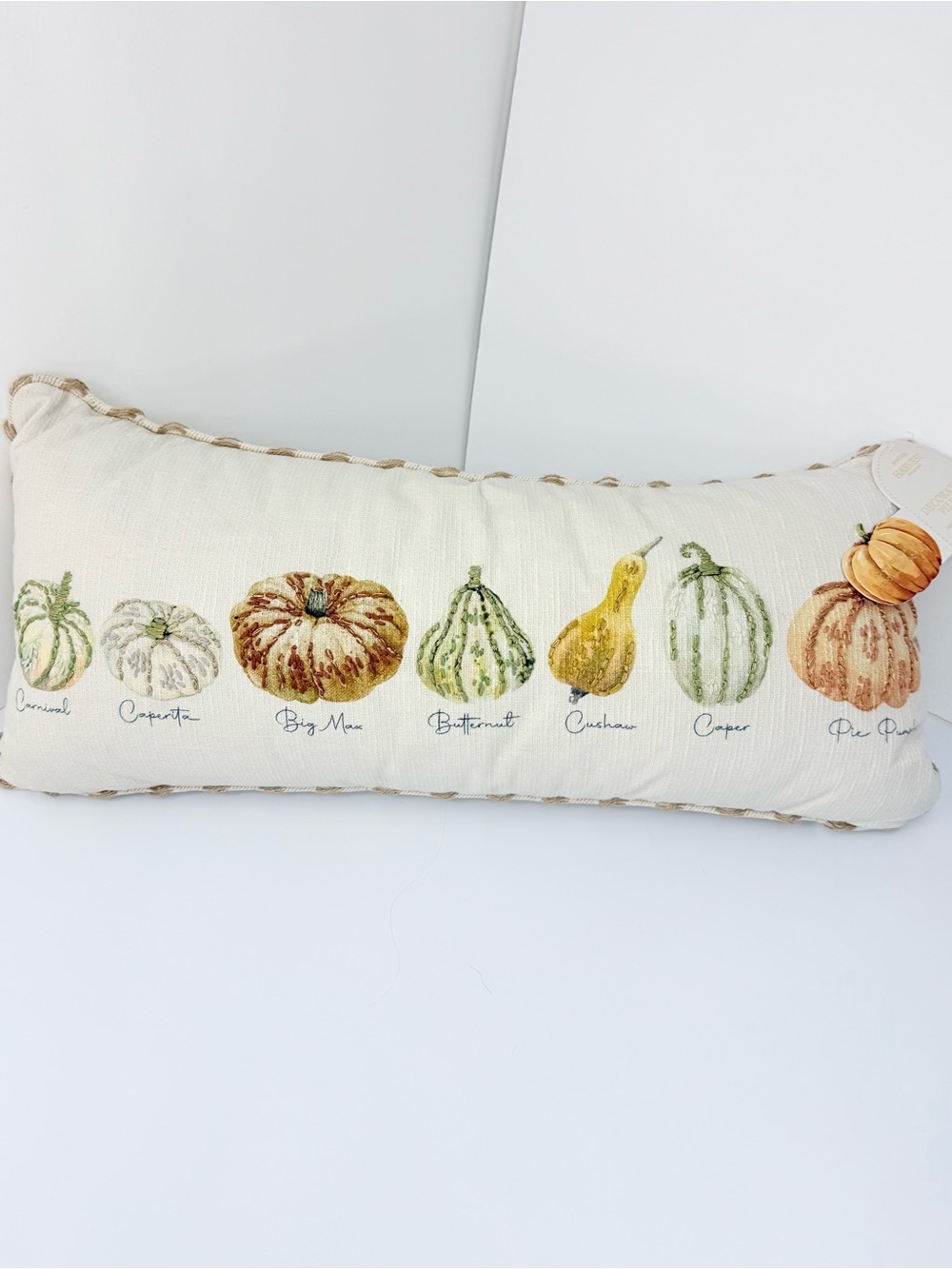Envogue Harvest Collection Cream Squash Print Soft Woven Fall Accent Pillow NEW